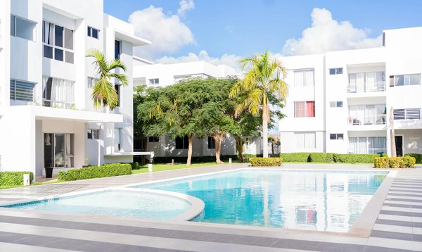 Quels sont les meilleurs spots pour observer les éléphants dans leur habitat naturel en Afrique du Sud : parcs et périodes ?