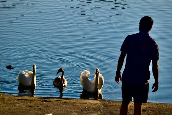 Quels sont les meilleurs sentiers pour une randonnée en bord de mer en Portugal?